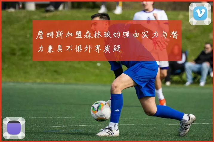 詹姆斯加盟森林狼的理由实力与潜力兼具不惧外界质疑